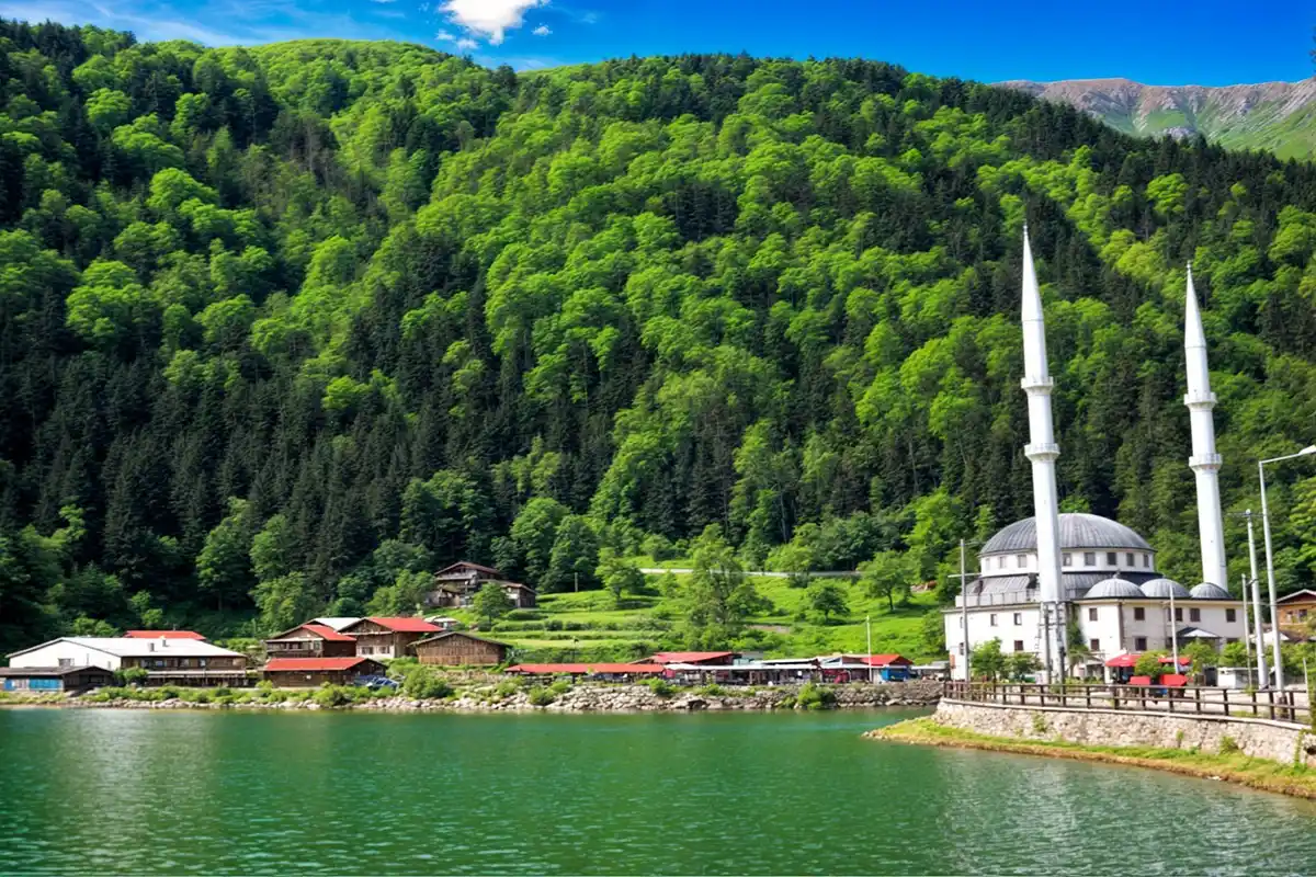 طرابزون - تركيا