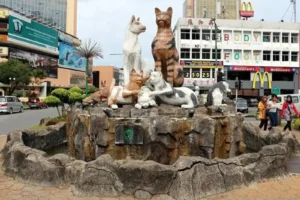 أفضل معالم السياحة في ماليزيا: رحلة لا تنسى تبدأ من هنا 14 متحف القطط - أجمل معالم ماليزيا