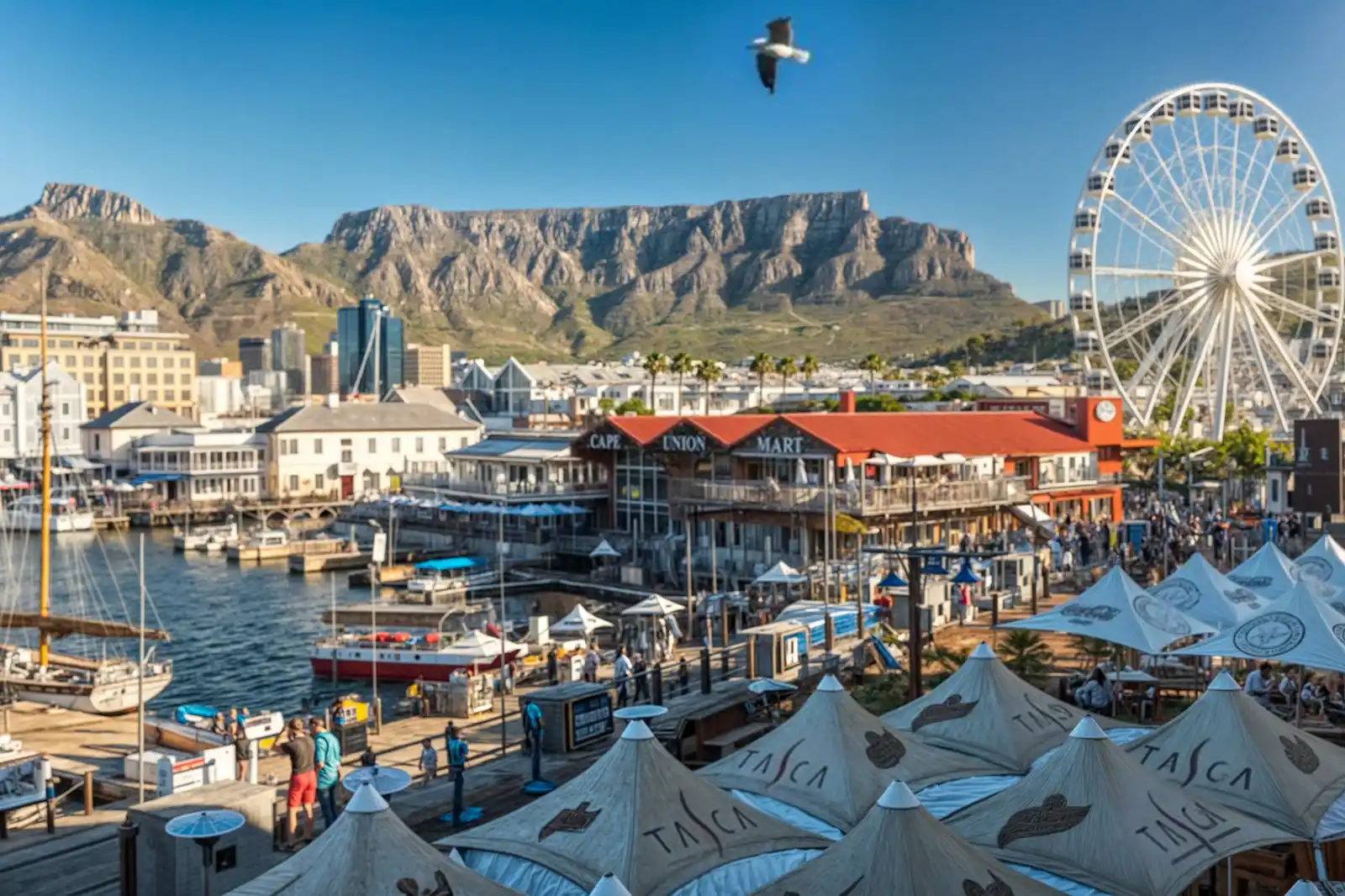 Explore vibrant Cape Town today
