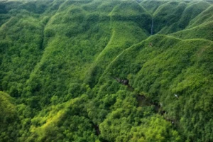 السياحة في موريشيوس: معالم سياحية لا تُنسى في جزر موريشيوس 11 منتزه بلاك ريفر جورجيز الوطني - أجمل أماكن السياحة في موريشيوس