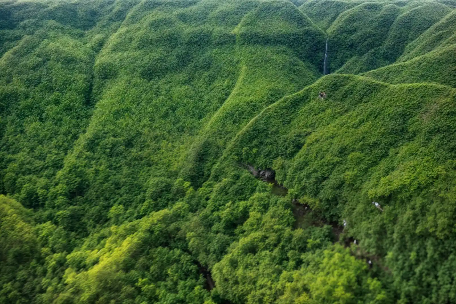 منتزه بلاك ريفر جورجيز الوطني - أجمل أماكن السياحة في موريشيوس