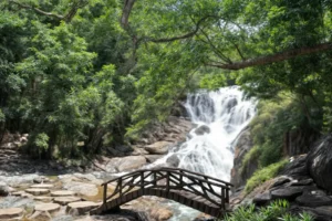 أسرار السياحة في فيتنام: المعالم السياحية والأنشطة الممتعة 7 شلال دتانلا - أبرز المعالم السياحية في هو تشي منه