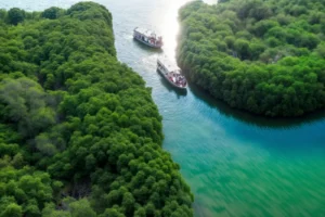 Farasan Islands escape with crystal-clear waters
