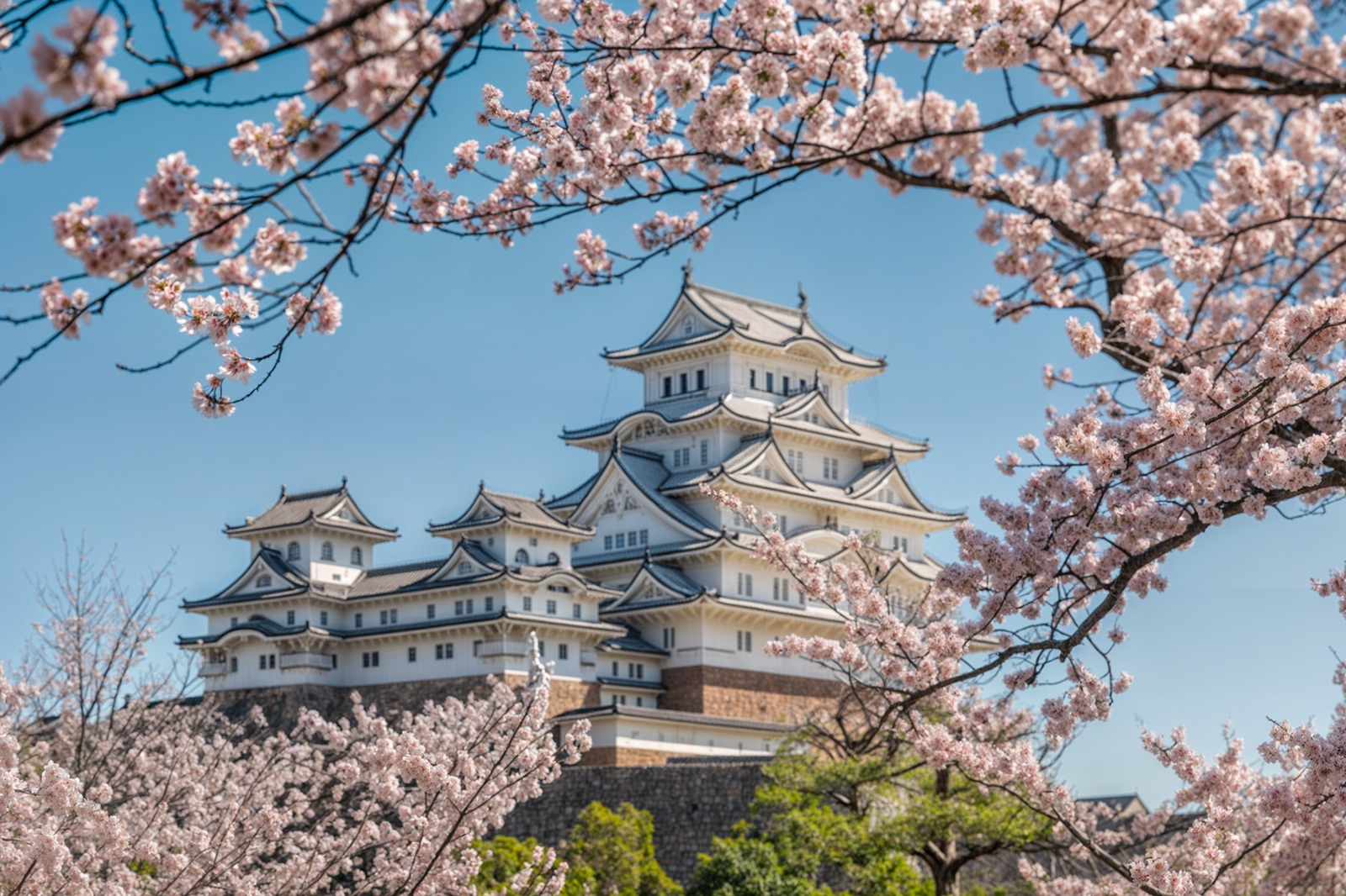 Kyoto: temples & tradition