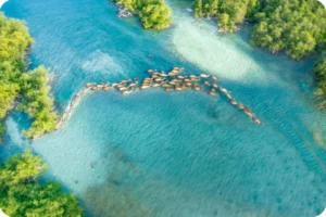 Explore pristine coastlines, a must-see Saudi tourist spot