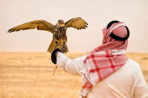 Discover wildlife entertainment across KSA cities