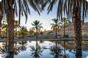 capital Saudi offers KSA events, Wadi Hanifa views, Riyadh parks, and VIP travel.