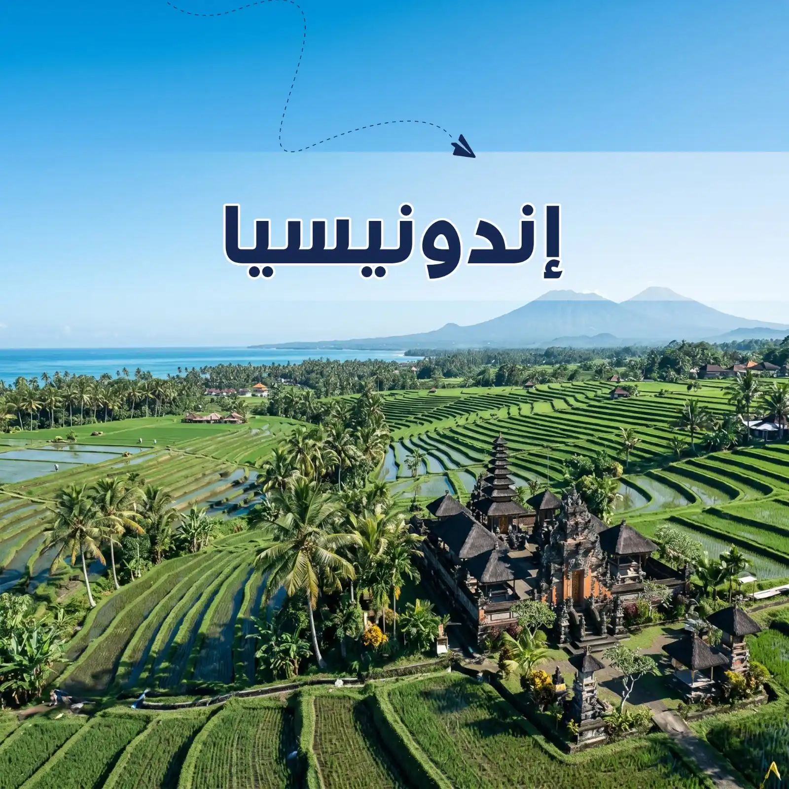 برنامج سياحي بونشاك & باندونج & جاكرتا 8 أيام-أريج العالم للسفر والسياحة