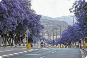 Saudi Arabia Trip Cost 2026: Complete Budget Guide 9 Abha vacation ideas for families in Saudi Arabia