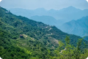Abha and Aseer travel experience with mountains and heritage villages
