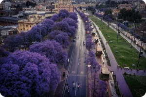 Abha and Asir mountains in summer with cooler weather in Saudi compared with desert regions