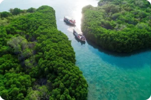 Boats travelling through a turquoise channel between dense mangrove banks.
