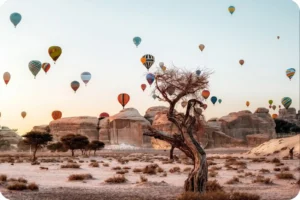 Colorful hot air balloons above sandstone formations, with a weathered tree in the desert foreground.