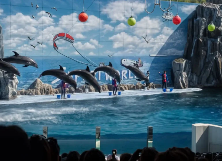 رحلات سفاري بانكوك - تجربة مميزة في رحلات تايلاند