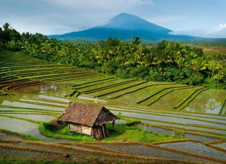 مدرجات الأرز - ضمن أروع معالم سياحية في جزيرة بالي